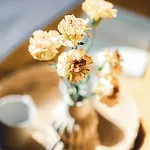 Mazury Twin House * Wynki