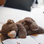 Mazury Twin House * Wynki