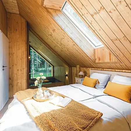 Mazury Twin House Villa Wynki