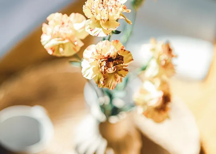 Mazury Twin House * Wynki