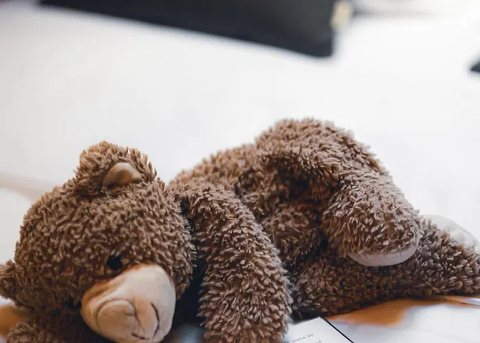 Mazury Twin House * Wynki